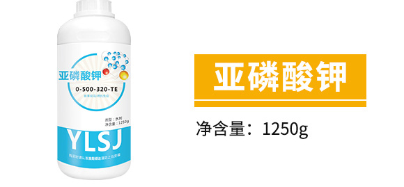 �׷����־���-�۟oۙ-�T�_(d��)_05