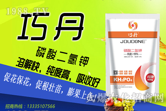 茄子需肥特性有哪些，夏季茄子高產(chǎn)管理技巧！