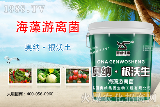 ���ӱ��W�{����Ʒ���u��������������o����ע��I(y��ng)�B(y��ng)�·�����