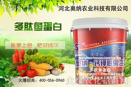 ���ӱ��W�{����Ʒ���u��������������o����ע��I(y��ng)�B(y��ng)�·�����