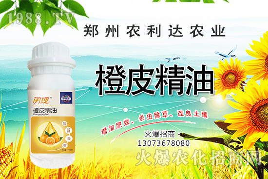 橙皮精油您了解多少？橙皮精油有什么作用？怎么選橙皮精油？