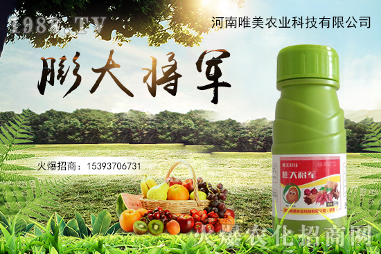 ����(sh��)�����������(sh��)С��ô��Q������(sh��)����ʵ��x������Щ��