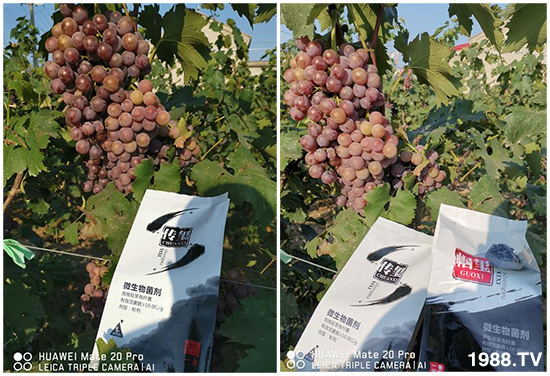 好產(chǎn)品好作用，“一璽生物”微生物菌劑“幗璽”客戶真實反饋！