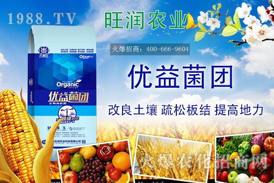 �����ЙC����ʲô���������ЙC�ʵă�(y��u)�����c�������ϵą^(q��)�e��