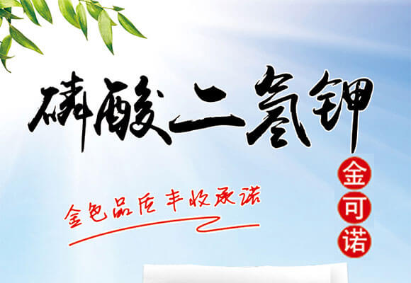 �������⛣�1000g��-����Z_01