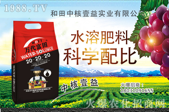 四季海棠多久澆一次水？四季海棠澆水過多怎么挽救？