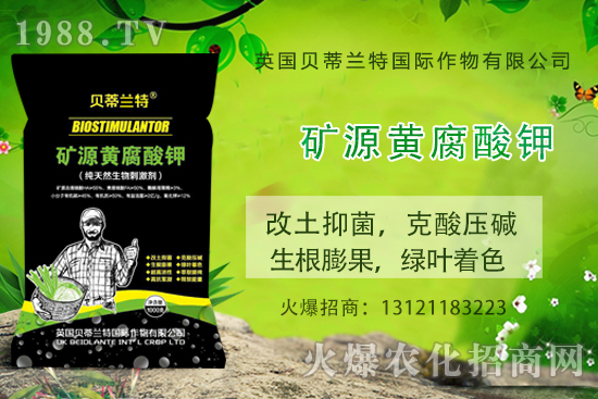 ���ÿ���ô�B(y��ng)�����ÿ��B(y��ng)ֳ������ע�����(xi��ng)��