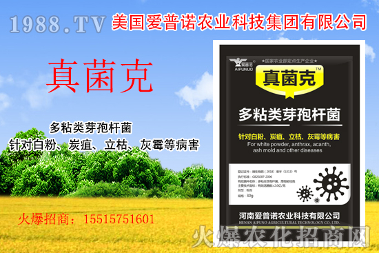 ���������Z��ʲô��(y��u)�������������Z�a(ch��n)Ʒ����Щ��