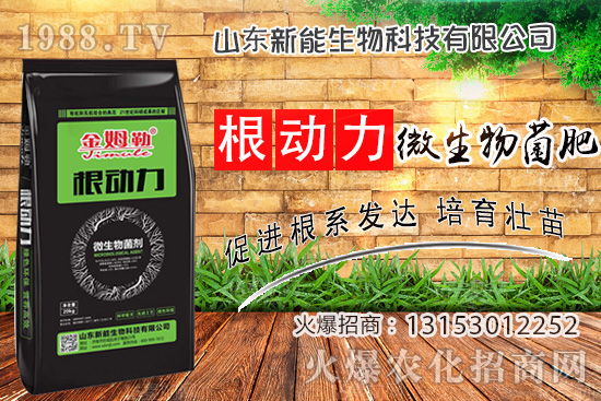 ����������ʲô����ʹ�á�΢������ʡ���ʲô��(y��u)�ݣ�