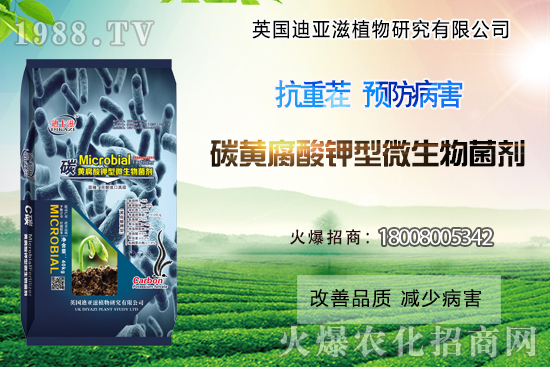 作物重茬危害難解決？這些解決措施你了解過嗎？
