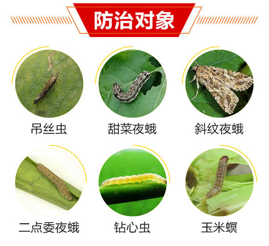 ���Ό���1