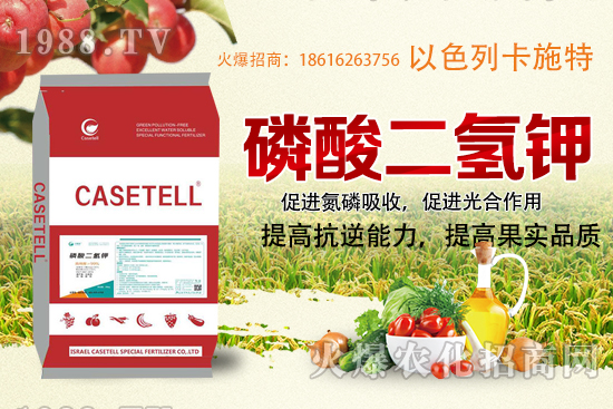  ����������ʲô���ϣ������������ü�ʹ�÷�����