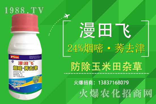 24%���ס�ݬȥ�����Ч���Æ᣿24%���ס�ݬȥ����ʲô���c��