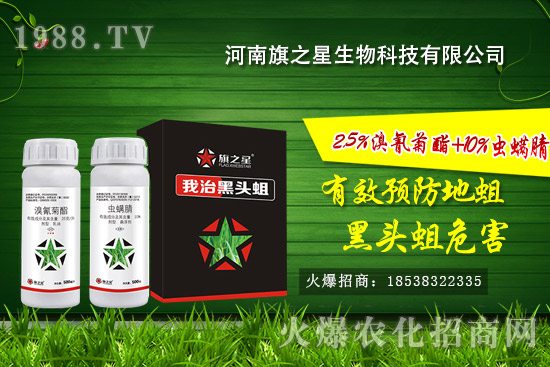 ������֮����ô�ӣ�������֮�ǚ����a(ch��n)Ʒ����Щ��