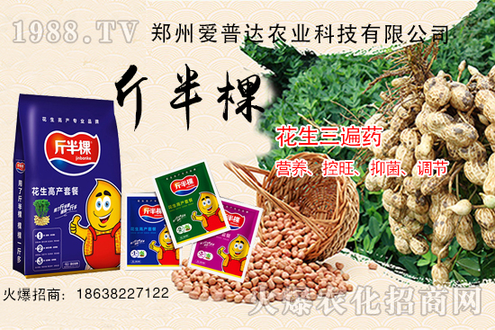 ��������ˎʲô�r(sh��)��ʹ������������ˎ����Щ���ã�