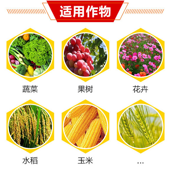 �m������1