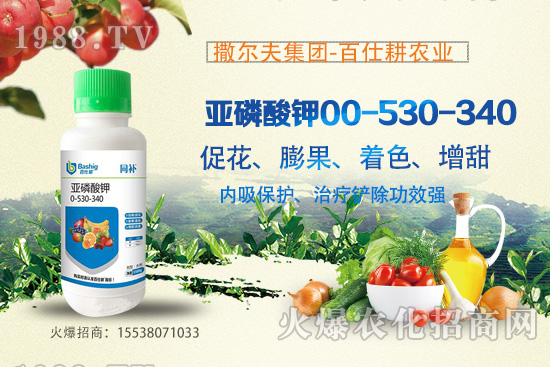 �I�B(y��ng)�������A(y��)�������������������@ôţ���������������ԭ����