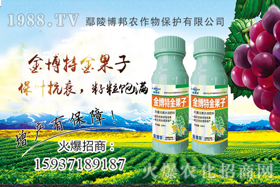 ������˥�p�a(ch��n)��(y��n)��ԓզ�k��������˥ԭ�����Nֲ����α�����