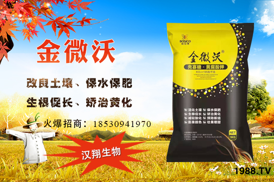 ��ӝh����ô�ӣ���˾��(y��u)����ʲô������aƷ����Щ��