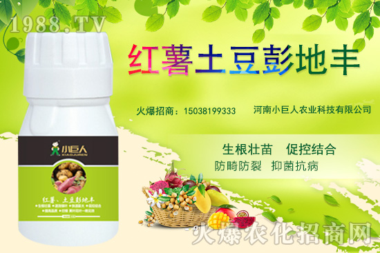 ����С������ô������˾��ʲô��(y��u)�������Ʈa(ch��n)Ʒ����Щ��