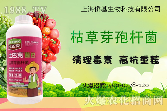 上海僑基“土巴克”-專注土壤病害防控和土壤修復(fù)15年!