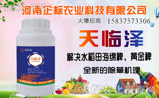 ���ݰ����ݙC(j��)�������ݰ��ܷ�����Щ�ݣ�ʹ��ע�����(xi��ng)����Щ��