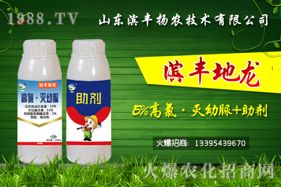 ���^�������������������Ч���Σ���15%���ȡ�������+�����������p���U��	