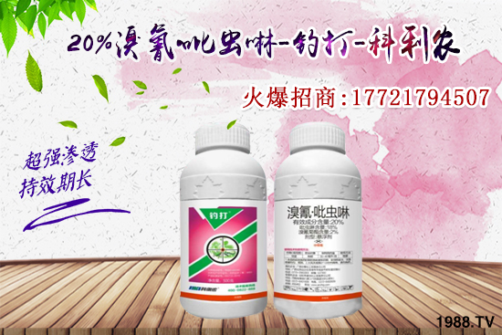 �������x���l(f��)̫���������x��ô��Ч���������x���η�������Щ��