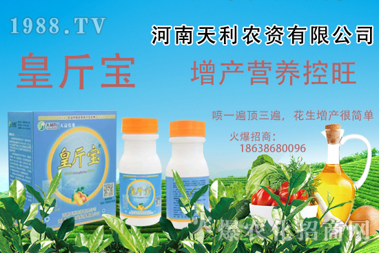  花生施肥常見(jiàn)問(wèn)題有哪些？花生需肥規(guī)律及施肥方案講解！