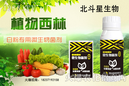 微生物菌劑為什么能防治白粉??？白粉專用微生物菌劑有什么特點(diǎn)？