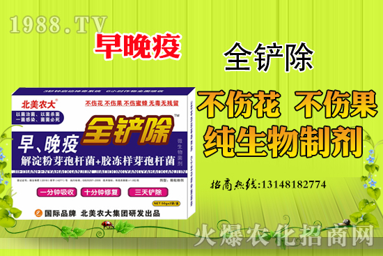 早晚疫危害嚴(yán)重，早晚疫防治措施有哪些？