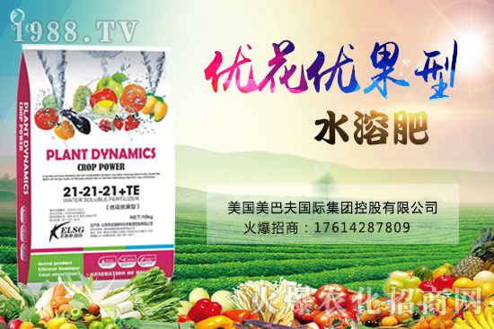 果實果小、不膨果?不妨試試“優(yōu)花優(yōu)果型水溶肥”,著色美果又增甜!