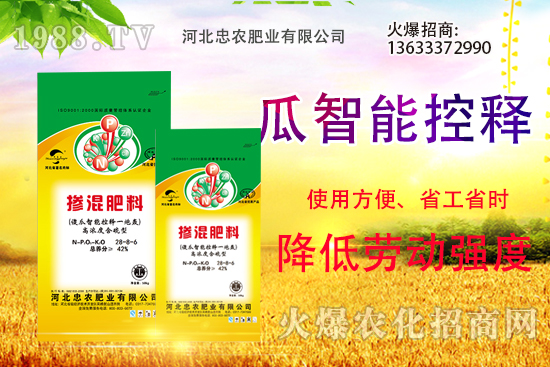 �������������Щ������ʵ�ʹ�÷�����ԓ����xُ��