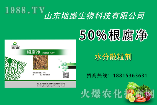 根腐病危害重，如何做好根腐病的防治？這樣做50%根腐凈！