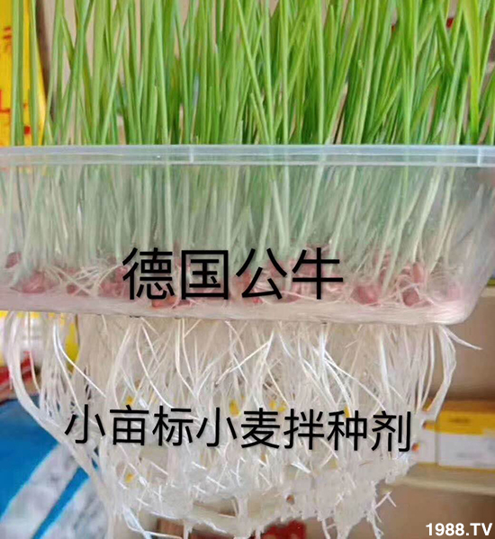 С����N�����a(ch��n)��С����N������x����С����N��Ʒ���x��