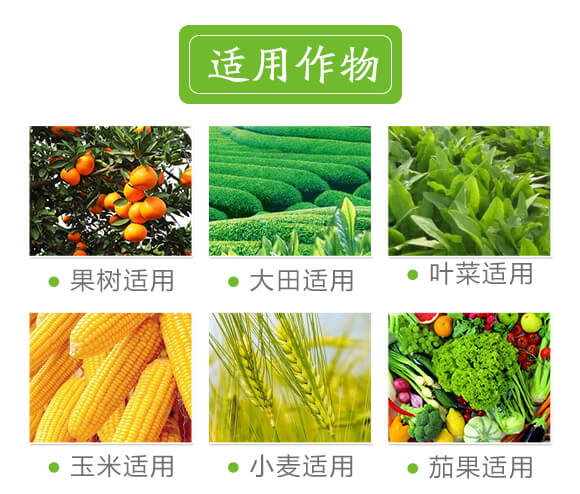 礦源黃腐酸鉀-黑色革命-愛農斯達_07