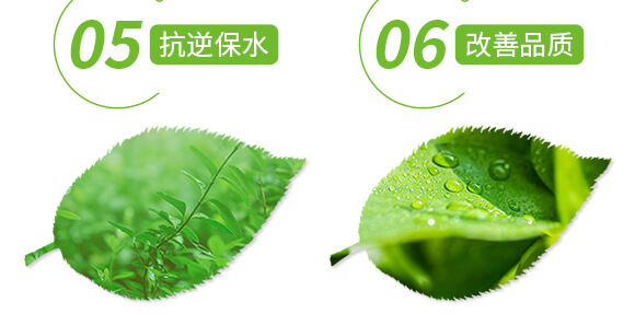 礦源黃腐酸鉀-黑色革命-愛農斯達_06