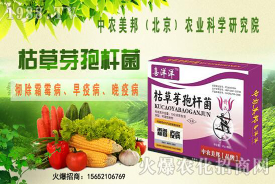 �ݲ�ѿ�ߗU���θ������ᣬ������Щ�������������Ό�������Щ��