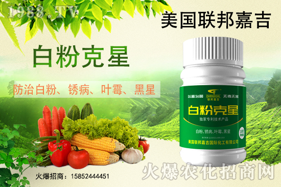 �׷۲����݁��u������(f��)�l(f��)������β���ô������׷۲������]��