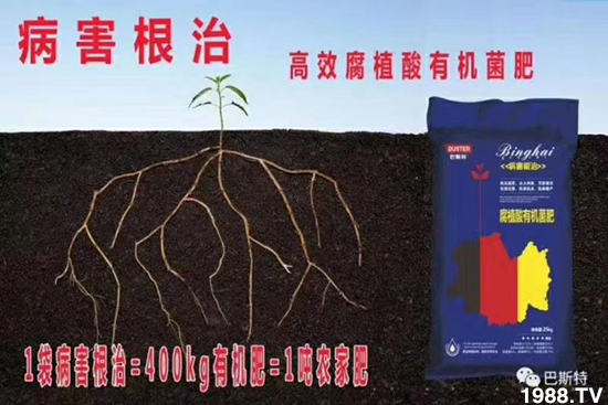     ���׌�Nֲ׃�ø��p����һ���ײͣ�ȫ���䷽����˹�ش󽪠I�B(y��ng)�ײͷ�����