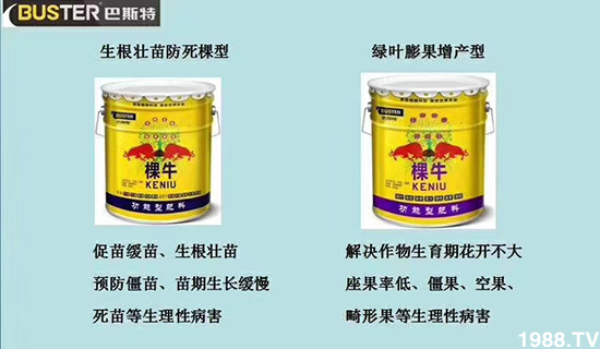     ���׌�Nֲ׃�ø��p����һ���ײ���ȫ���䷽����˹�ش󽪠I�B(y��ng)�ײͷ�����