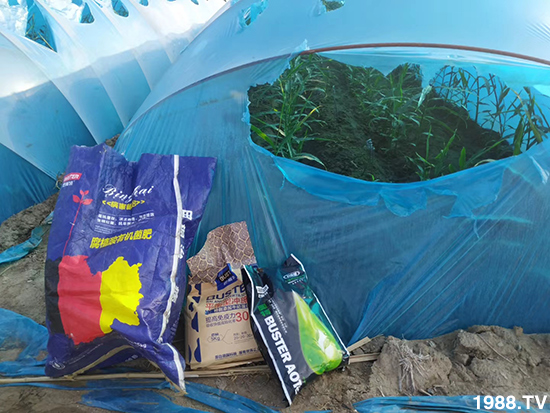     ���׌�Nֲ׃�ø��p�ɣ�һ���ײ���ȫ���䷽����˹�ش󽪠I�B(y��ng)�ײͷ�����