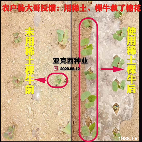     ���׌�Nֲ׃�ø��p����һ���ײ���ȫ���䷽����˹�ش󽪠I�B(y��ng)�ײͷ�����