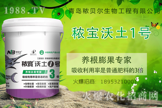 �����B(y��ng)������P(gu��n)�I���������B(y��ng)�����ԓʩʲô������