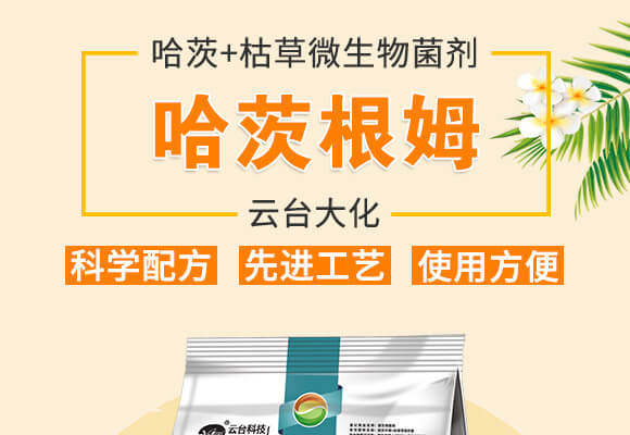 哈茨根姆-云臺大化_01