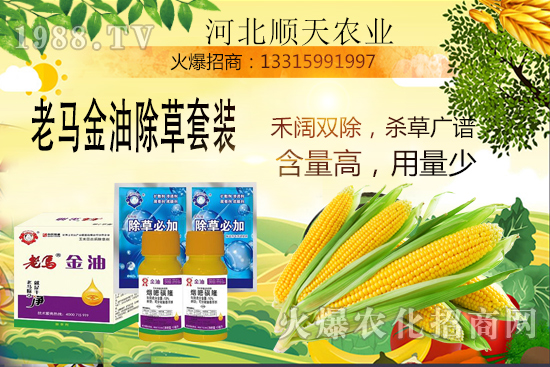 ����������������Ч�������׳����P(gu��n)�I�c(di��n)��R����