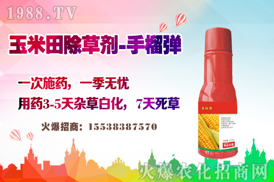 ������������v�������׳��݄��@�Ӵ������L(zh��ng)�s�ݲ����磡