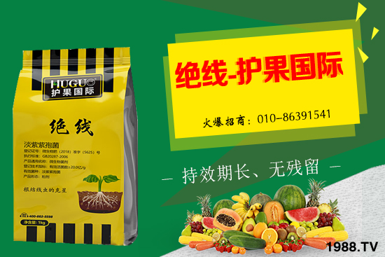 �޻���ʲôҪ�����������Щ��̎���޻�������g�������h��