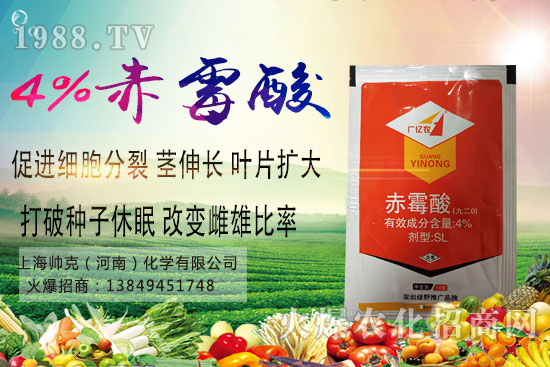 魔芋種植要點(diǎn)有哪些？魔芋市場(chǎng)價(jià)格及種植前景分析！