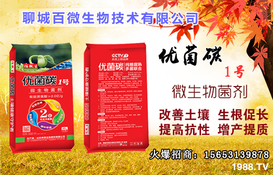 ��Ԫ����ʲô����������(sh��)ȱ����ʲô�����ʲô�r(sh��)���a(b��)����